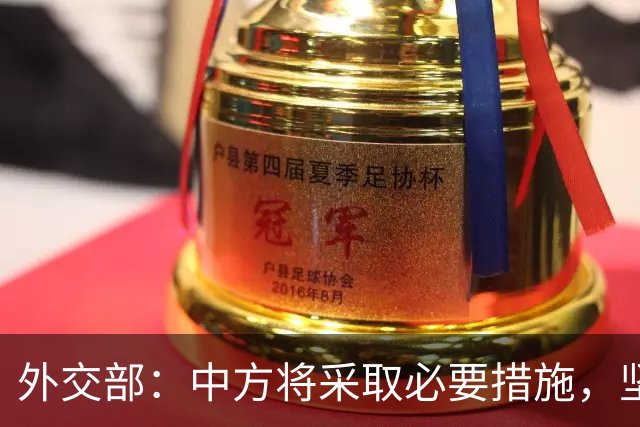 外交部：中方将采取必要措施，坚决维护中国企业合法权益